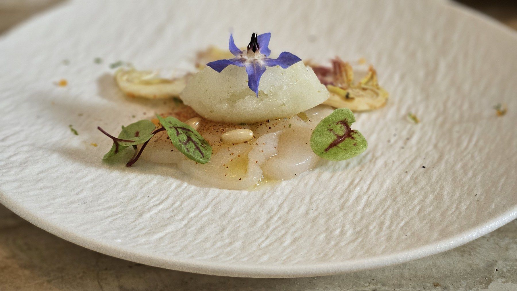 Amuse-bouche dusted with green herb powder, edible flowers.