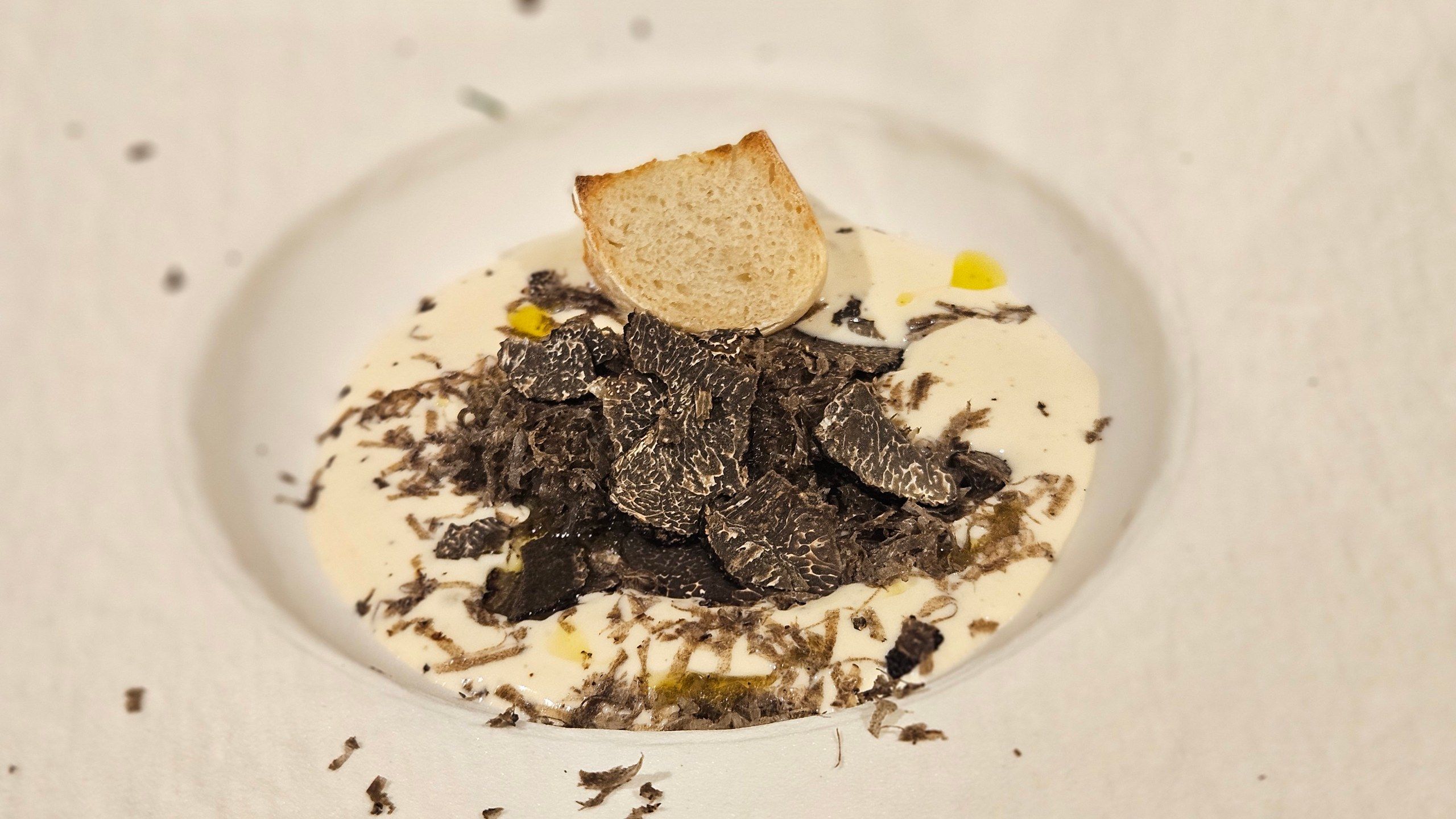A truffle dish over a creamy velouté, plated for the celebration.