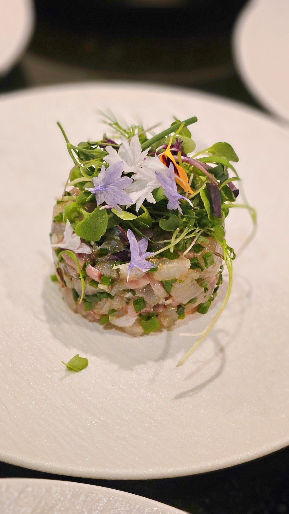 Composed vegetable starter with young leaves.