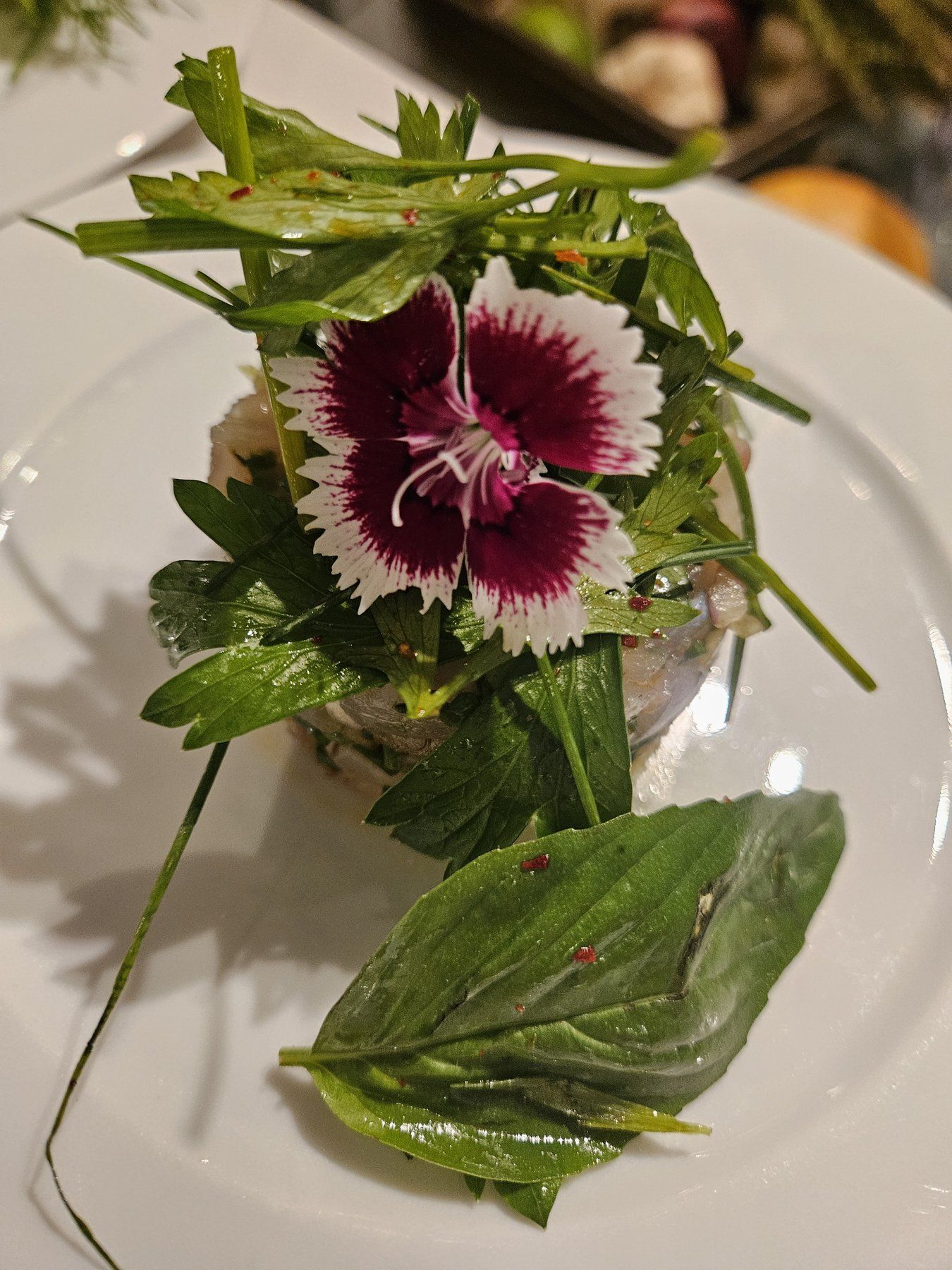 Bouquet of fresh herbs and a single edible flower plated as a starter garnish.