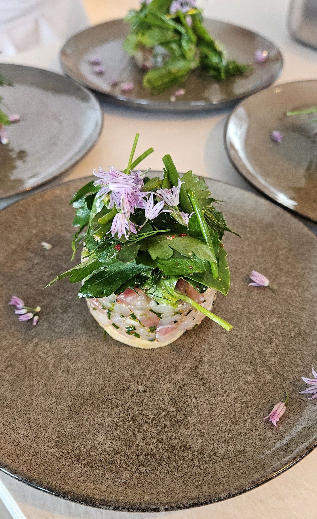 Composed plate with fresh herbs and a light jus.